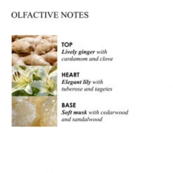 MOLTON BROWN Heavenly Gingerlily Hand Lotion 300 Ml 9 MOLTON BROWN Heavenly Gingerlily Hand Lotion 300 Ml -Modekosmetikgeschäft 1309722 MOLTON BROWN Heavenly Gingerlily Hand Lotion 300 ml.9e19d409