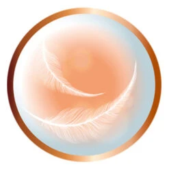 Remington Supercare PRO 2200 Haartrockner -Modekosmetikgeschäft 1376217 Remington Supercare PRO 2200 Haartrockner.8f8dc211