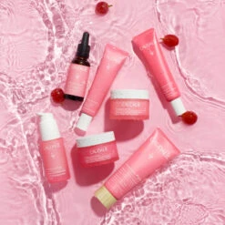 CAUDALIE Vinosource-Hydra Sorbet-Creme 40 Ml -Modekosmetikgeschäft 1404792 CAUDALIE Vinosource Hydra Sorbet Creme 40 ml.6e0dc4e7