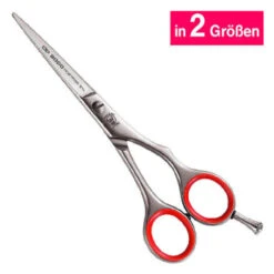 Weltmeister Haarschere CD 2000/2001