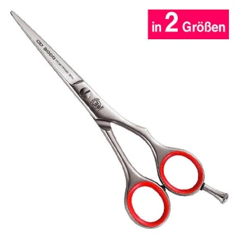 Weltmeister Haarschere CD 2000/2001 3 Weltmeister Haarschere CD 2000/2001