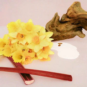 MARC JACOBS PERFECT Shower Gel 150 Ml 6 MARC JACOBS PERFECT Shower Gel 150 Ml – Bild 4